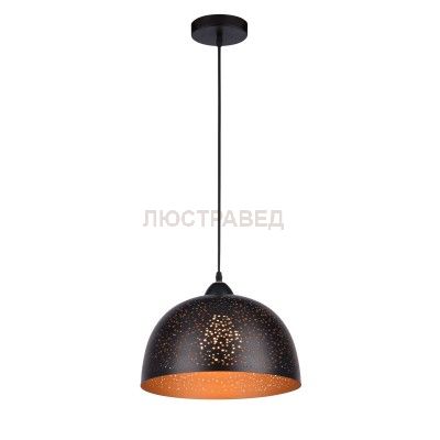 Светильник подвесной Arte lamp A1630SP-1BK Buchino