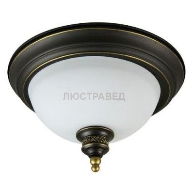 Светильник потолочный Arte lamp A9518PL-2BA Bonito