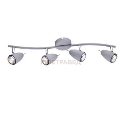 Светильник потолочный Arte lamp A1966PL-4GY Regista