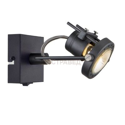 Светильник настенный Arte lamp A4300AP-1BK Costruttore