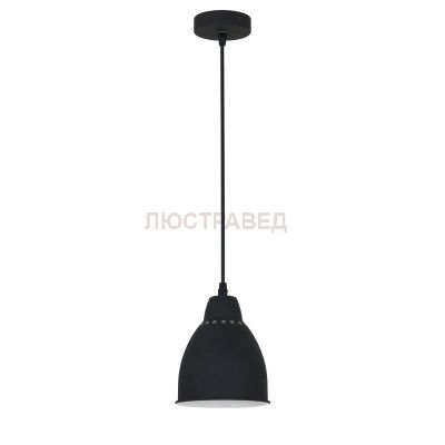 Светильник подвесной Arte lamp A2054SP-1BK Braccio