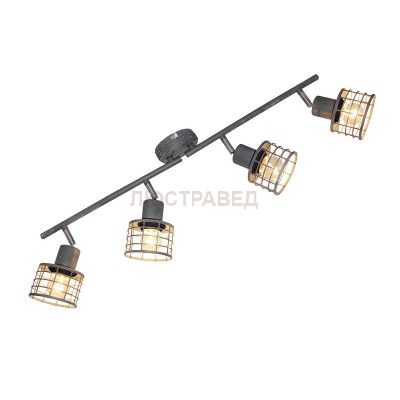 Светильник на штанге Lussole Loft LSP-9970