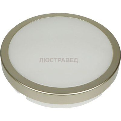 Светильник светодиодный Novotech 357516 OPAL