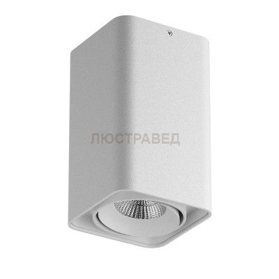 Светильник точечный накладной Lightstar 212536 Monocco