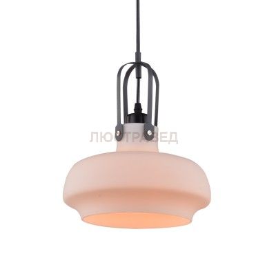 Светильник подвесной Arte lamp A3624SP-1WH Arno