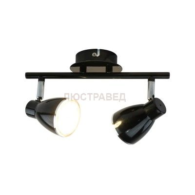 Светильник потолочный Arte lamp A6008PL-2BK Gioved