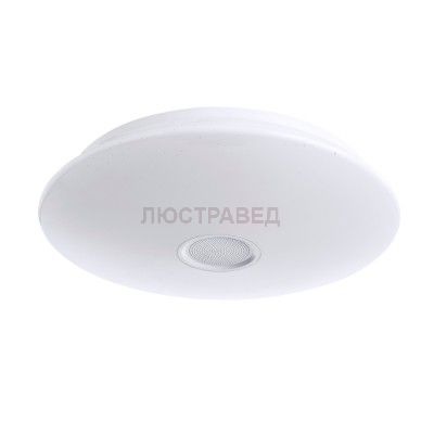 Настенно-потолочный светильник Arte lamp A5524PL-1WH Suono