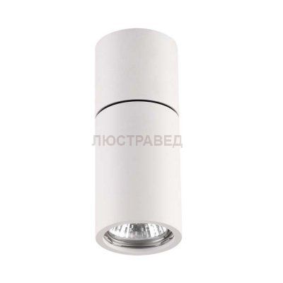 Потолочный накладной светильник Odeon light 3582/1C DUETTA