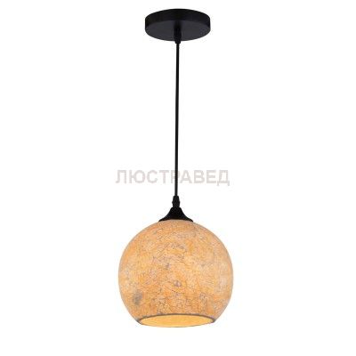 Светильник подвесной Arte lamp A8076SP-1BK Spumante