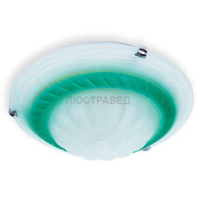 Настенно-потолочный светильник CLARE TL9101Y-02GN Toplight