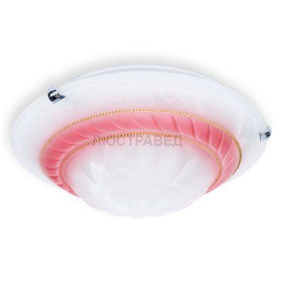 Настенно-потолочный светильник CLARE TL9101Y-02PK Toplight