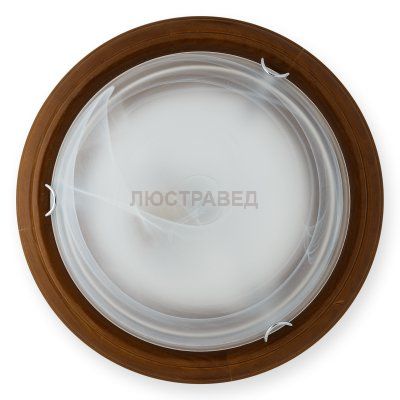 Настенно-потолочный светильник IRMA TL9073Y-02OA Toplight