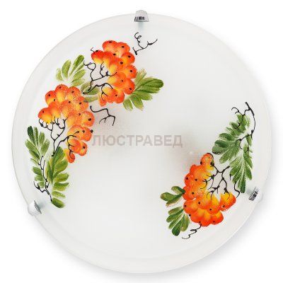 Настенно-потолочный светильник PIROLF TL9351Y-02WH Toplight