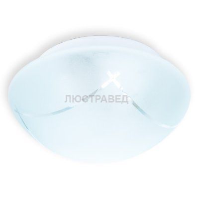 Настенно-потолочный светильник SANDRA TL9410Y-02WH Toplight