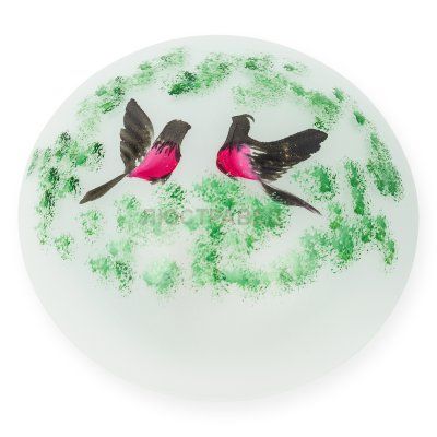 Настенно-потолочный светильник JELER TL9480Y-02OA Toplight