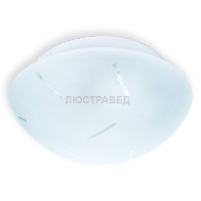 Настенно-потолочный светильник MAE TL9401Y-01WH Toplight