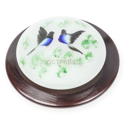 Настенно-потолочный светильник JELER TL9481Y-01OA Toplight