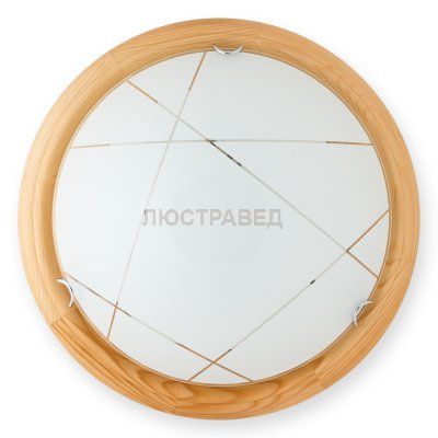 Настенно-потолочный светильник KAREN TL9013Y-02PN Toplight