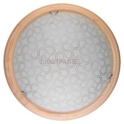 Настенно-потолочный светильник CHRISTINA TL9520Y-00PN Toplight