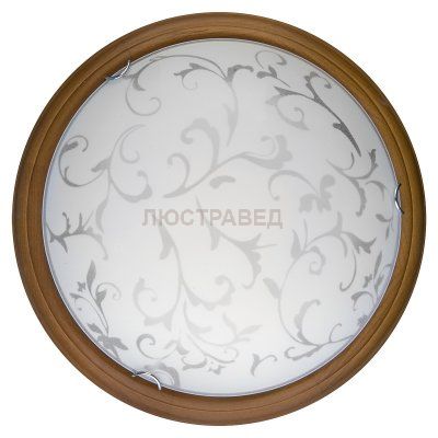 Настенно-потолочный светильник DANIELA TL9530Y-00OA Toplight