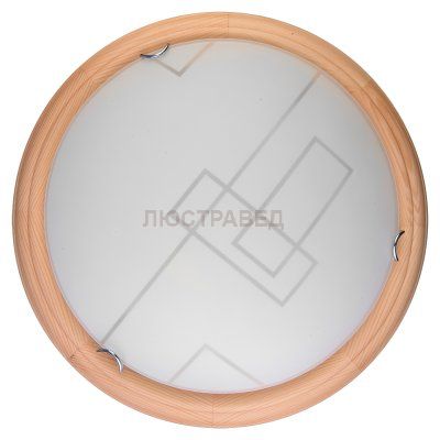 Настенно-потолочный светильник DEBORA TL9540Y-00PN Toplight