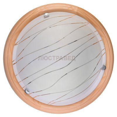 Настенно-потолочный светильник GABRIELLE TL9610Y-00PN Toplight