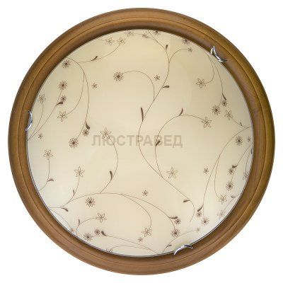 Настенно-потолочный светильник KARISSA TL9650Y-00OA Toplight