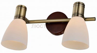 Спот SHARYL TL3720Y-02BB Toplight