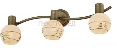 Спот SHARLEEN TL3790Y-03AB Toplight