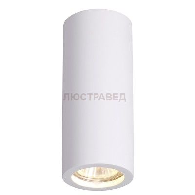 Потолочный накладной светильник Odeon light 3554/1C GESSO