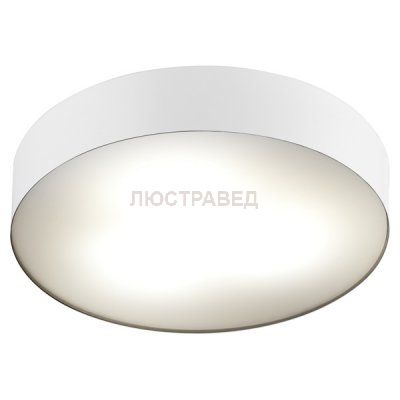 Потолочный светильник Nowodvorski 6724 ARENA