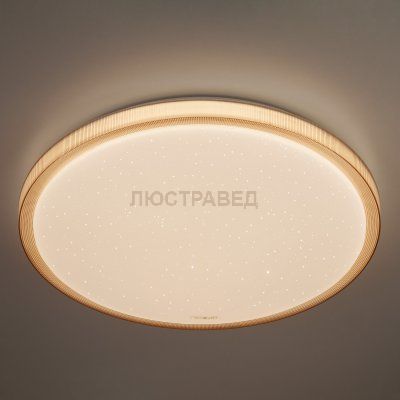 Потолочный светильник Евросвет 40015/1 LED кофе