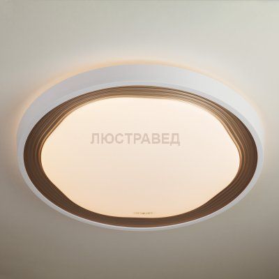 Потолочный светильник Евросвет 40006/1 LED кофе