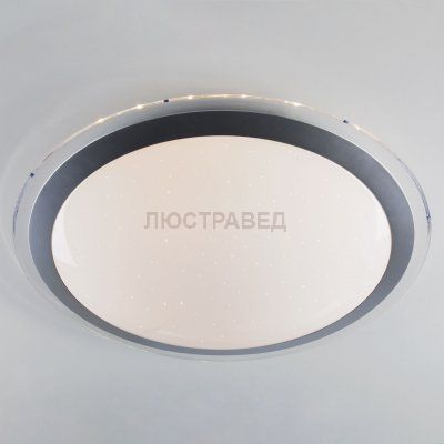 Потолочный светильник Евросвет 40004/1 LED матовое серебро