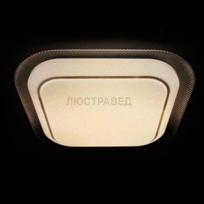 Светильник светодиодный Ambrella F49 WH 48W S450