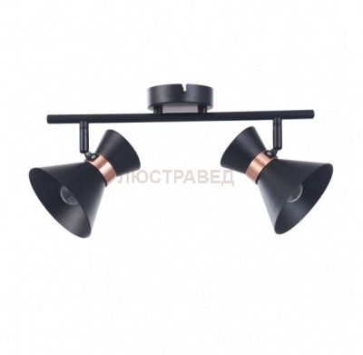 Настенно-потолочный светильник Freya FR4273-CW-02-B Izzy