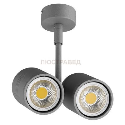 Светильник точечный накладной под заменяемые галогенные или LED лампы Lightstar 214449 Rullo