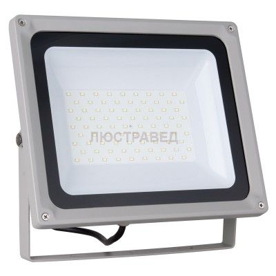 Прожектор диодный 006 FL LED 70W 6500K IP65 Электростандарт