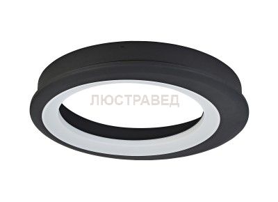 Светодиодный светильник Donolux C111032/1 D650