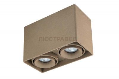 Светильник накладной Donolux DL18611/02WW-SQ Champagne