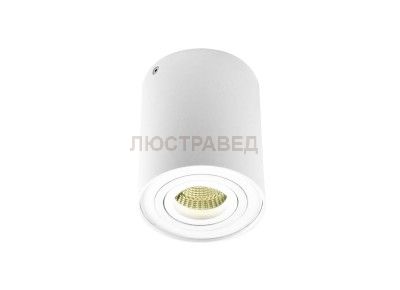 Светильник накладной Donolux DL18613/01WW- R White