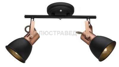 Светильник Arte Lamp A1677PL-2BK