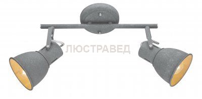 Светильник Arte Lamp A1677PL-2GY