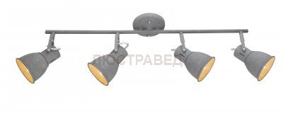 Светильник Arte Lamp A1677PL-4GY