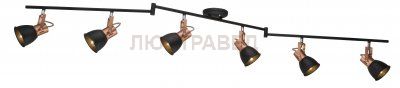 Светильник Arte Lamp A1677PL-6BK