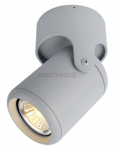 Светильник Arte Lamp A3316PL-1GY