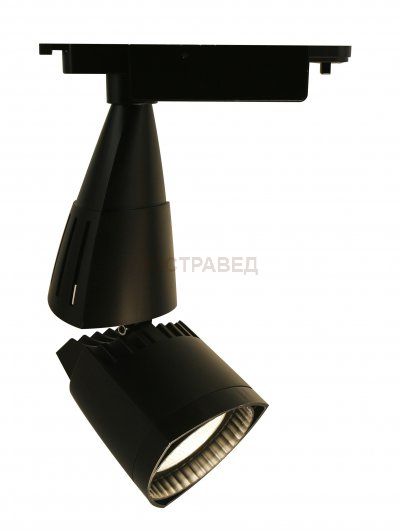 Светильник Arte Lamp A3830PL-1BK