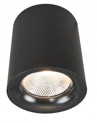 Светильник Arte Lamp A5118PL-1BK