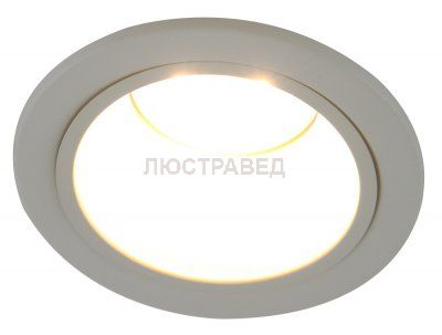 Светильник Arte Lamp A6663PL-1WH