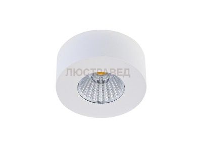 Светильник светодиодный накладной Donolux DL18812/7W White R
